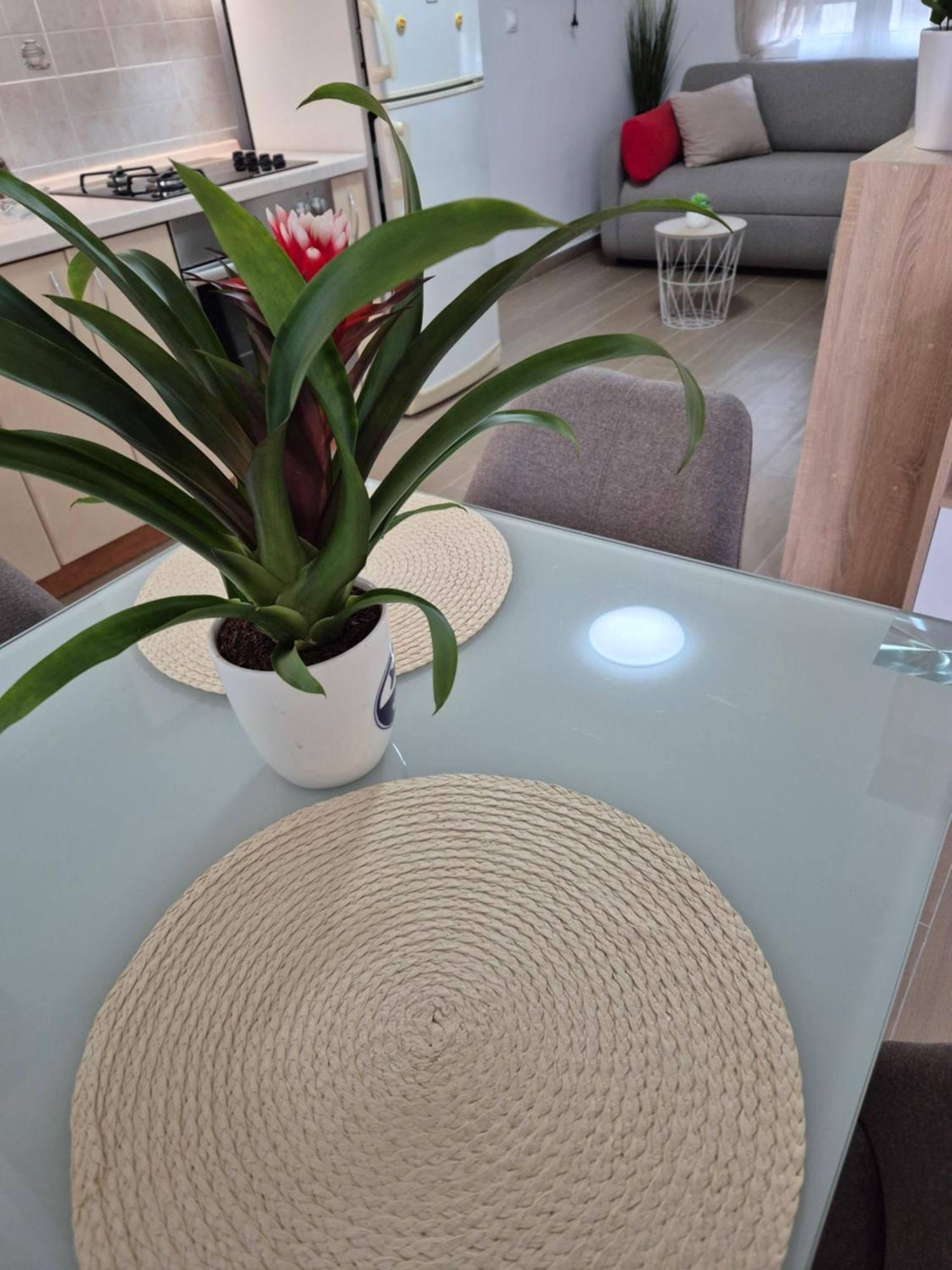 Apartment Duje Split Ruang foto